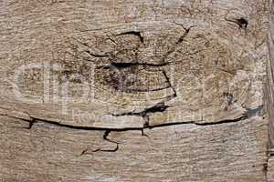 Fragment of old wooden board