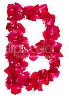 Pink rose petals forming letter B