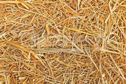 The texture of straw