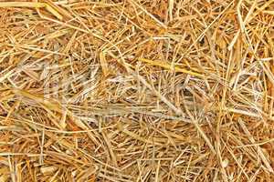 The texture of straw