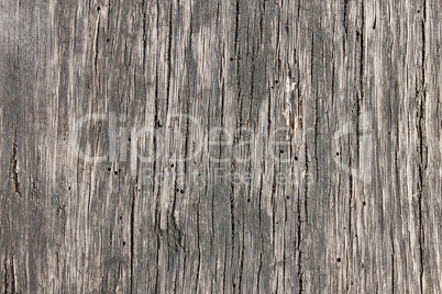 Old dark wooden board