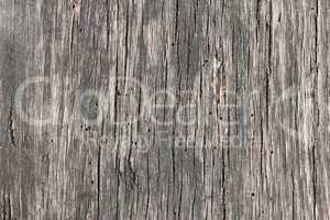 Old dark wooden board