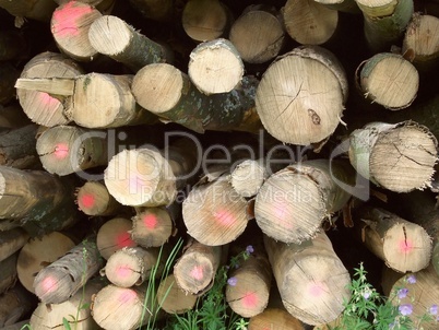 Holzstapel