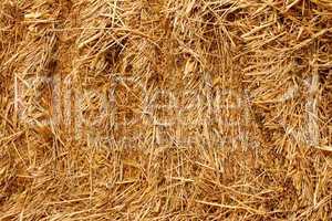 Pressed wheat straw