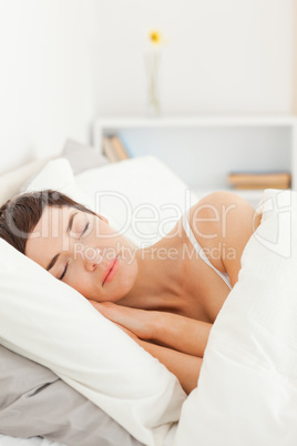 Portrait of a charming woman sleeping