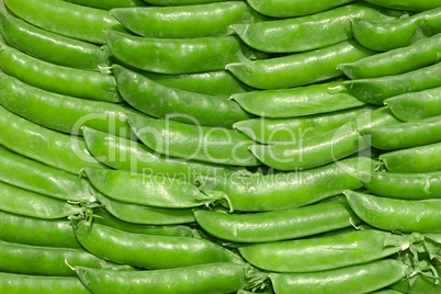 Young green pea pods
