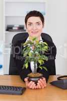 Businesswoman holding a plant
