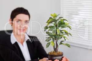 Office worker holding a plant