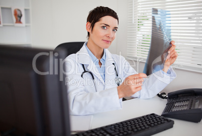 Female doctor holding a set of X-ray