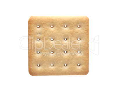 Cracker On White
