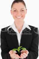 Charming woman in suit holding a small plant