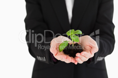 Woman in suit holding a small plant