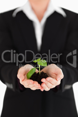 Young woman in suit holding a small plant