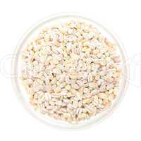 pearl barley in a glass bowl
