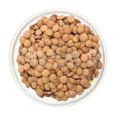 lentil in a glass bowl