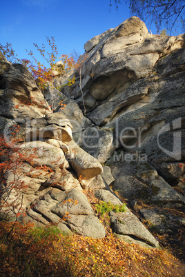 autumn landscape