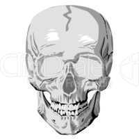 Human skull graphic