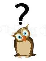 Owl with question mark