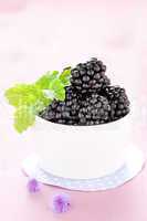 frische Brombeeren / fresh blackberries