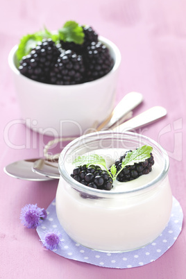 Joghurt mit Brombeeren / yogurt with blackberries