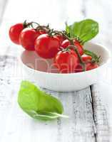 Tomaten und Basilikum / tomatoes and basil