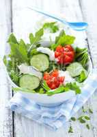 frischer Salat mit Gurke / fresh salad with cucumber