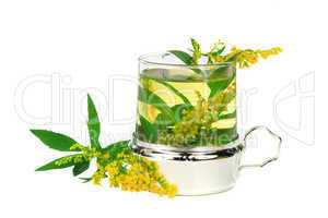 Tee der Riesengoldrute (Solidago gigantea)