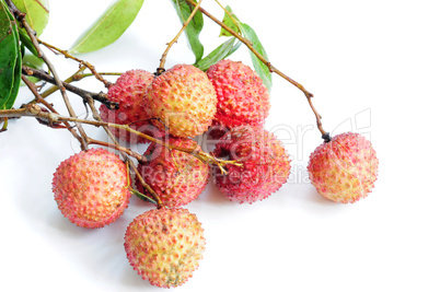 Lichi fruits