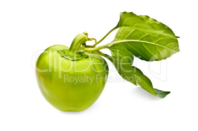 Green peppers with leaf