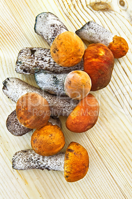 Mushrooms on a wooden board