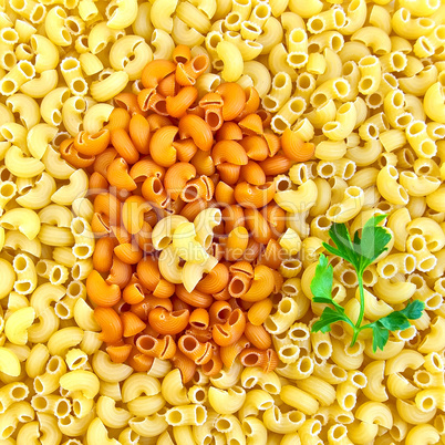 Pasta with an orange house