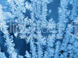 blue frosty natural pattern
