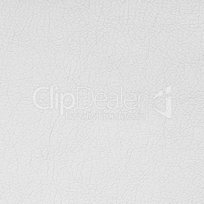 White leather background