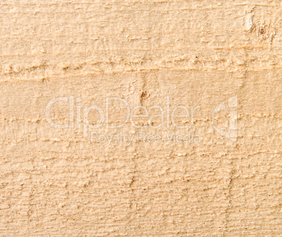 Wood texture. Wood texture.
