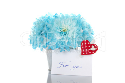 Blue chrysanthemums in a pail