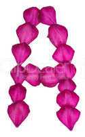Pink Clematis petals forming letter A
