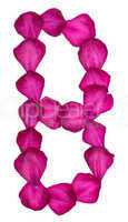 Pink Clematis petals forming letter B