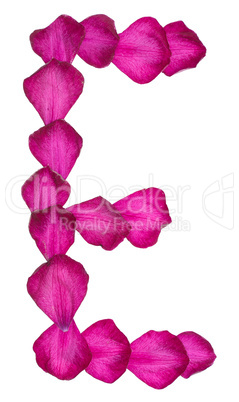 Pink Clematis petals forming letter E