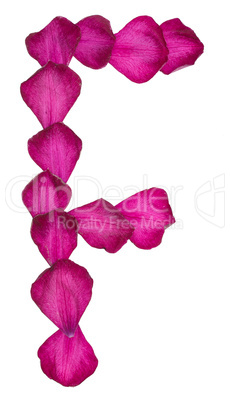 Pink Clematis petals forming letter F