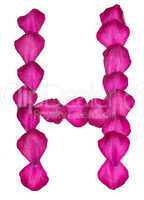 Pink Clematis petals forming letter H