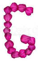 Pink Clematis petals forming letter G