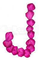 Pink Clematis petals forming letter J