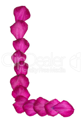 Pink Clematis petals forming letter L