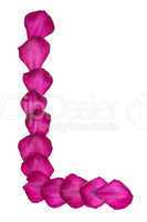 Pink Clematis petals forming letter L