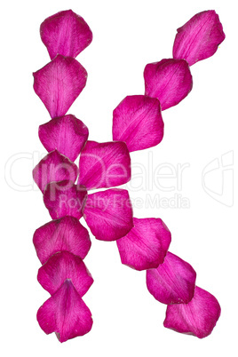 Pink Clematis petals forming letter K