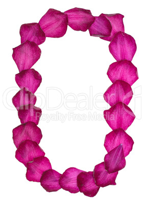 Pink Clematis petals forming letter O