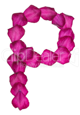 Pink Clematis petals forming letter P