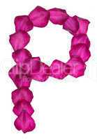 Pink Clematis petals forming letter P