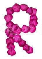Pink Clematis petals forming letter R