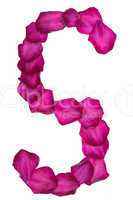 Pink Clematis petals forming letter S